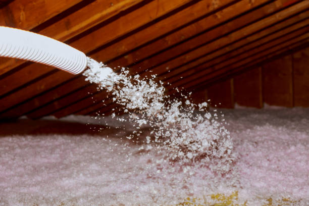 Best Specialized Insulation Services in Morton, PA