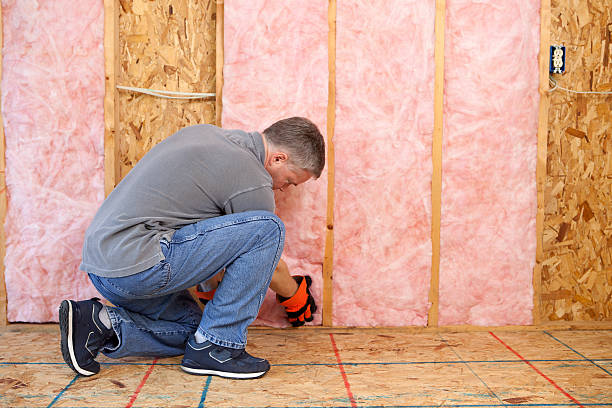 Best Geographic-Specific Insulation Services in Morton, PA